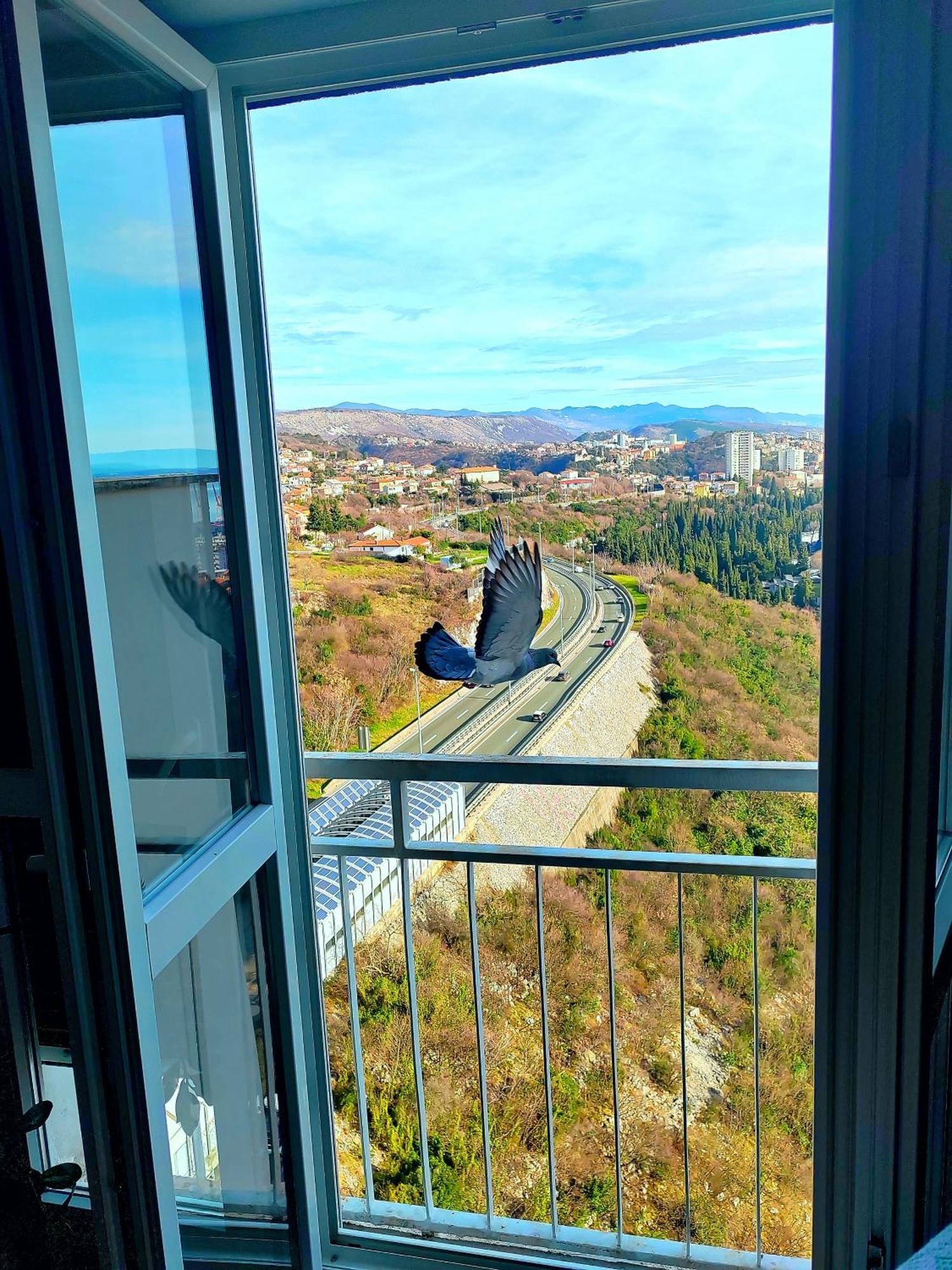 Under The Sky Apartment Rijeka Exterior photo